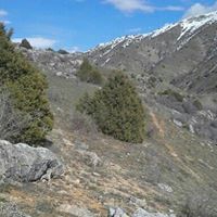 Bayburt Yaylapınar Köyü Resimleri 29