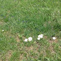 Bayburt Yaylapınar Köyü Resimleri 9