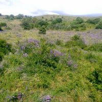 Bayburt Yerlice Köyü Resimleri 1