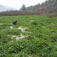 Bismil Ahmetli Köyü Resimleri 12