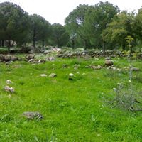 Bismil Ahmetli Köyü Resimleri 4