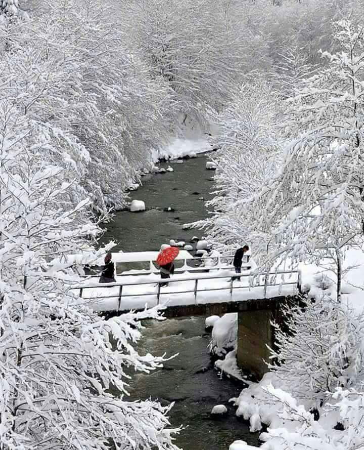 Vakfıkebir Hamzalı Köyü Resimleri 1