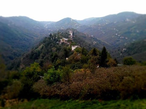 Vakfıkebir Hamzalı Köyü Resimleri 10