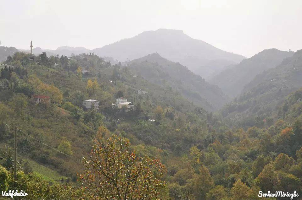 Vakfıkebir Hamzalı Köyü Resimleri 11