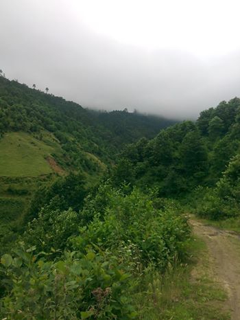 Vakfıkebir Hamzalı Köyü Resimleri 2