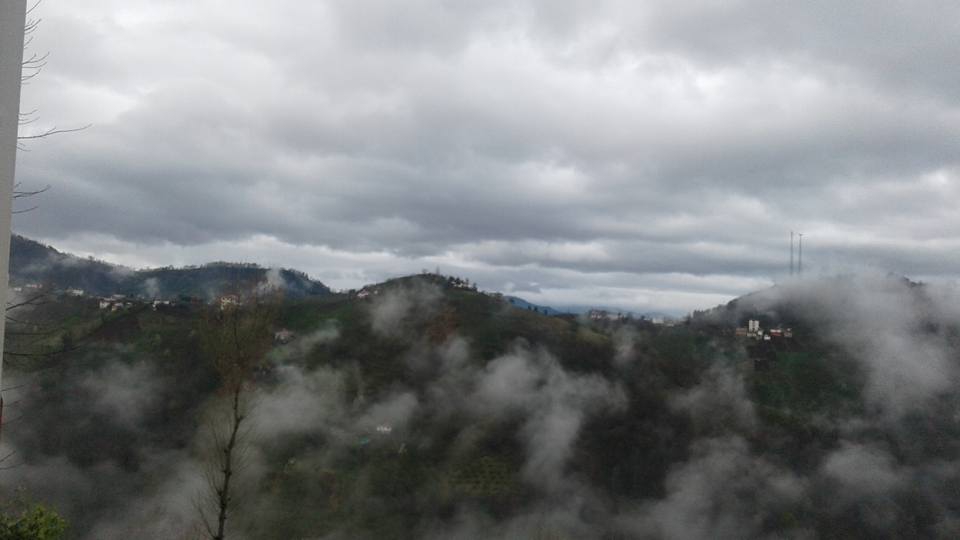 Vakfıkebir Hamzalı Köyü Resimleri 4