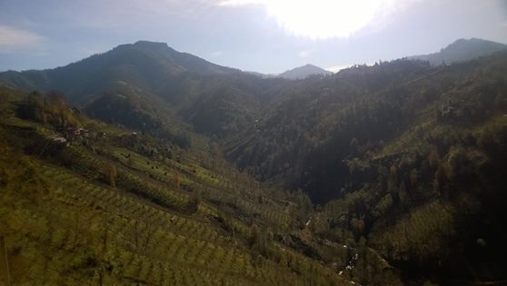 Vakfıkebir Hamzalı Köyü Resimleri 5