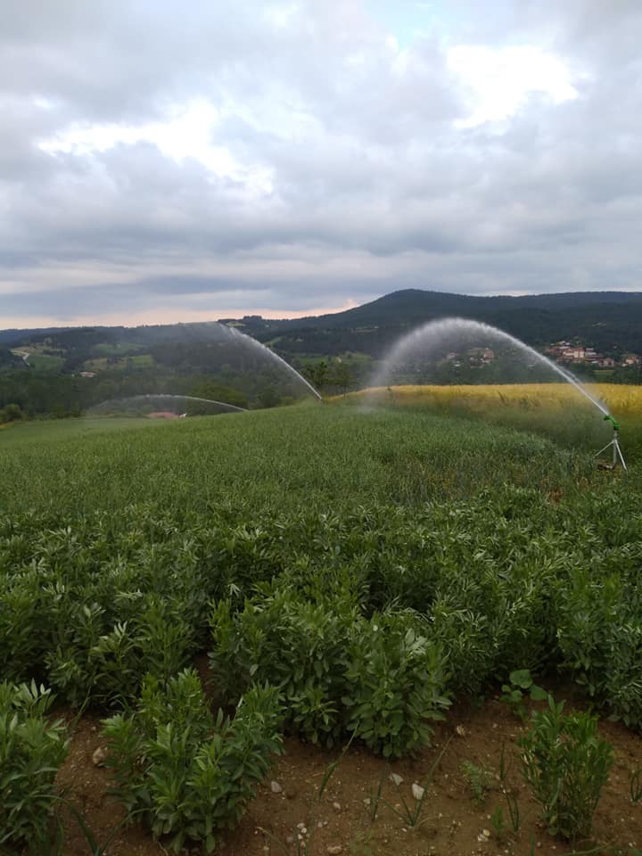 Kastamonu Karaş Köyü Resimleri 1