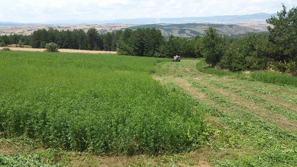 Kastamonu Karaş Köyü Resimleri 4