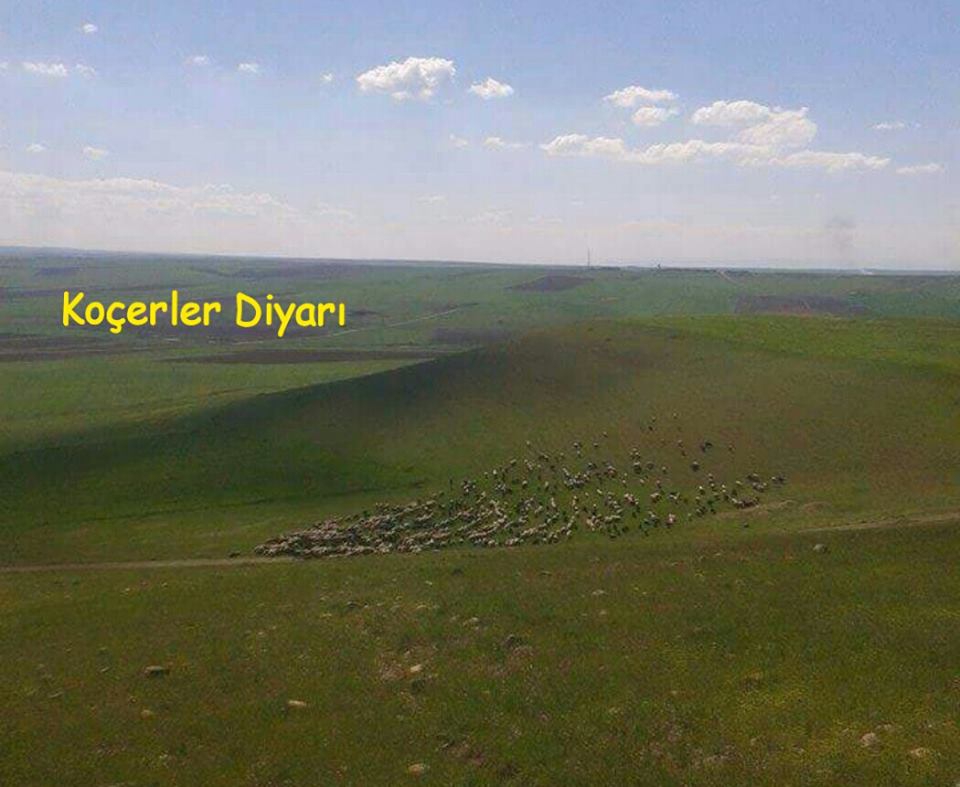 Bismil Akköy Köyü Resimleri 3