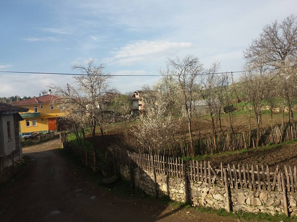 Kastamonu Kaşçılar Köyü Resimleri 8