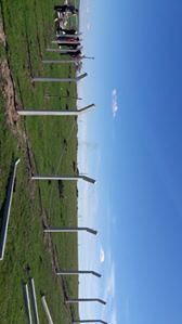 Bismil Alıncak Köyü Resimleri 3