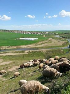 Bismil Alibey Köyü Resimleri 1