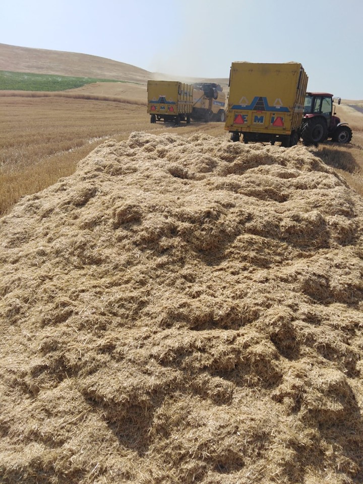 Bismil Balcılar Köyü Resimleri 10