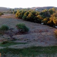 Bismil Balcılar Köyü Resimleri 5