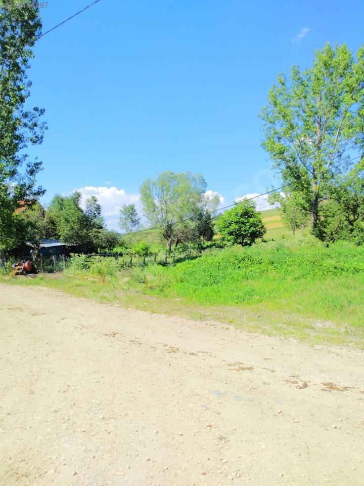 Kastamonu Kuzyaka Köyü Resimleri 9