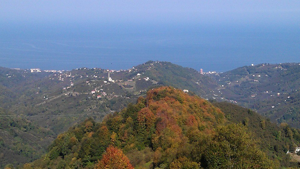 Vakfıkebir Kıranköy Resimleri 1