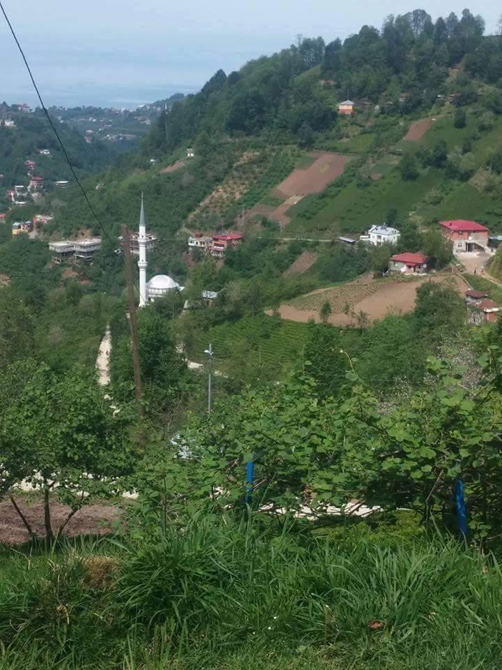Vakfıkebir Kıranköy Resimleri 10