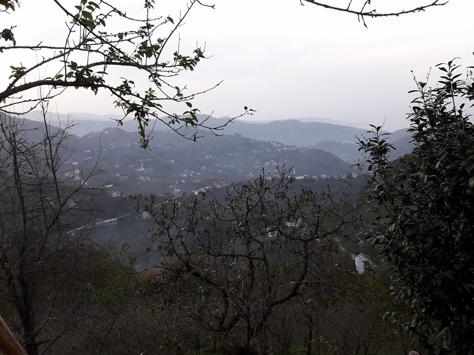 Vakfıkebir Kıranköy Resimleri 11