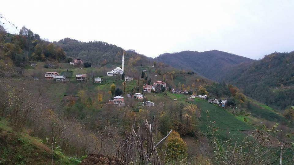 Vakfıkebir Kıranköy Resimleri 12