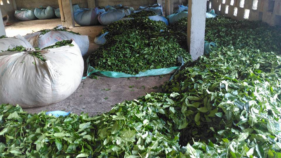 Vakfıkebir Kıranköy Resimleri 13