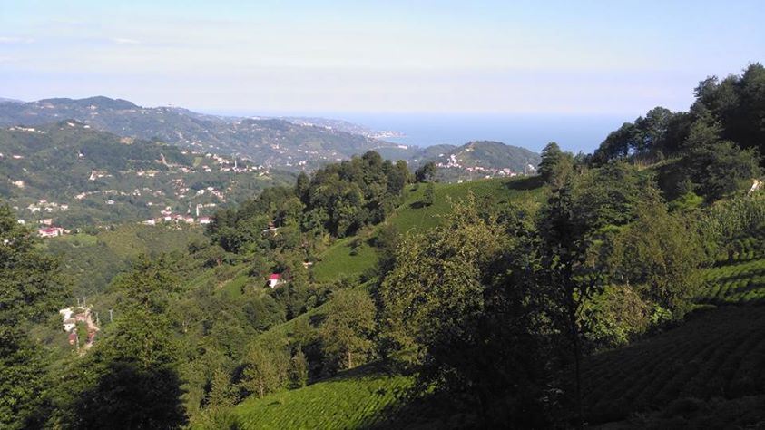 Vakfıkebir Kıranköy Resimleri 14