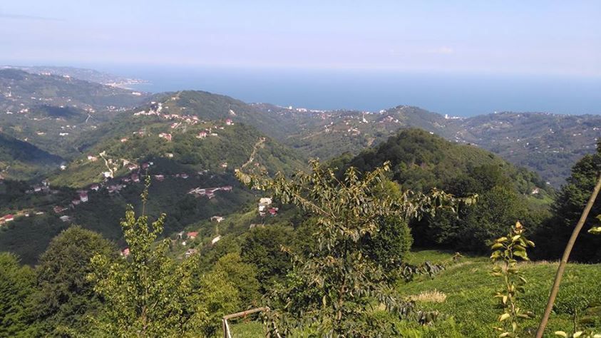 Vakfıkebir Kıranköy Resimleri 16