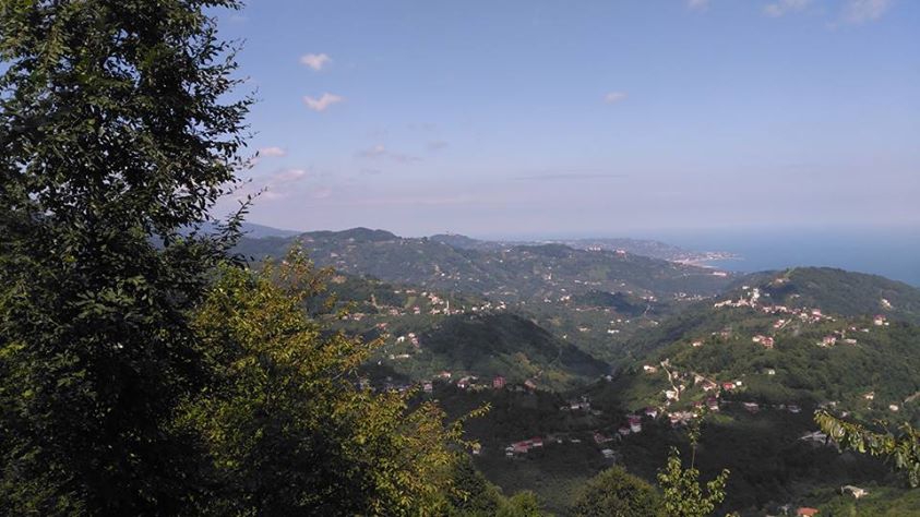 Vakfıkebir Kıranköy Resimleri 17