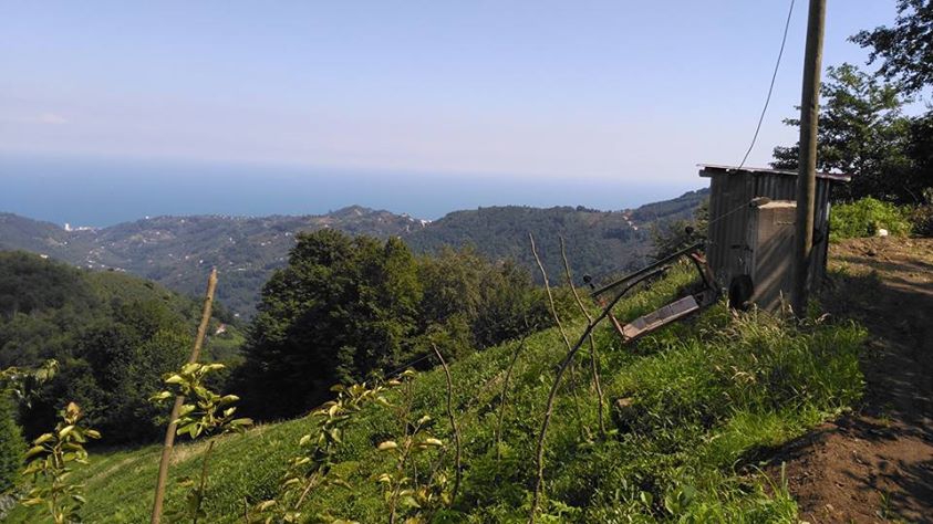 Vakfıkebir Kıranköy Resimleri 18
