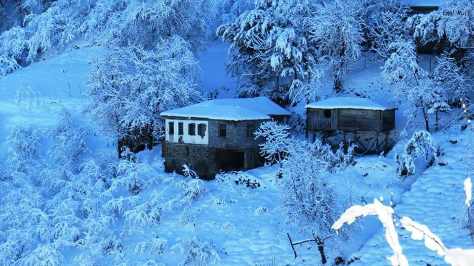 Vakfıkebir Kıranköy Resimleri 20