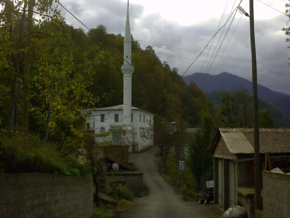 Vakfıkebir Kıranköy Resimleri 23