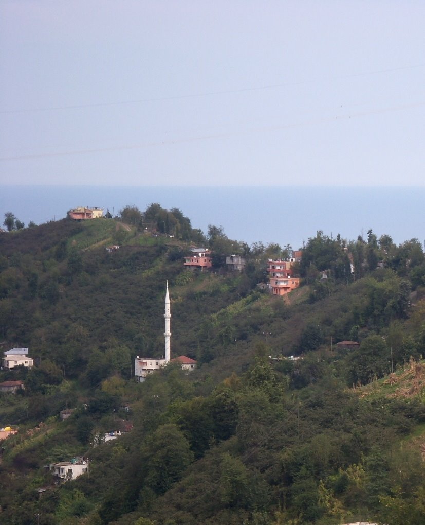 Vakfıkebir Kıranköy Resimleri 24