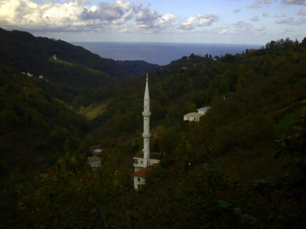 Vakfıkebir Kıranköy Resimleri 25