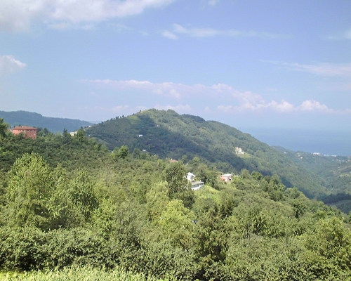 Vakfıkebir Kıranköy Resimleri 26