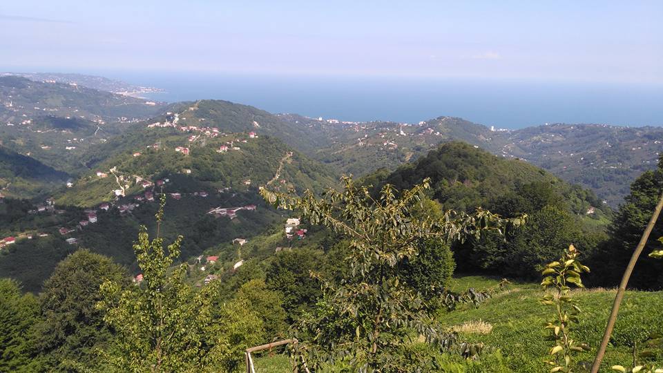 Vakfıkebir Kıranköy Resimleri 27