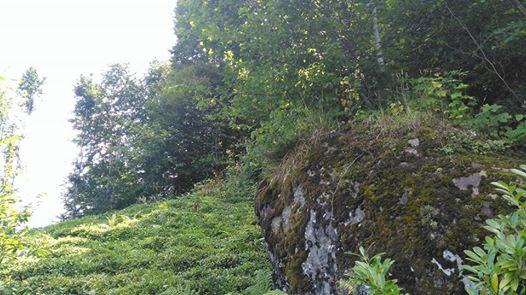 Vakfıkebir Kıranköy Resimleri 4