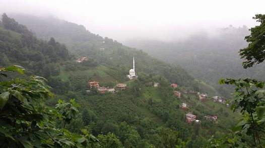 Vakfıkebir Kıranköy Resimleri 5