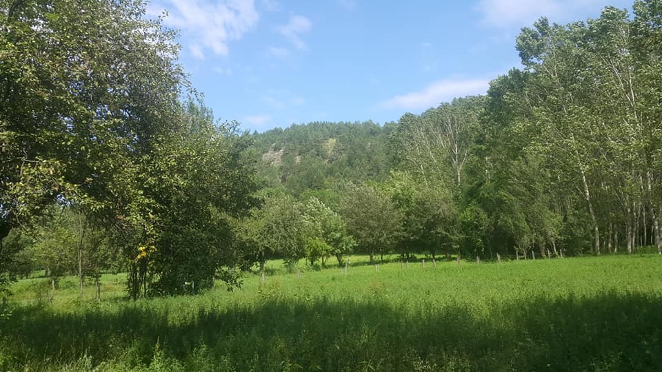 Kastamonu Ortaboğaz Köyü Resimleri 8