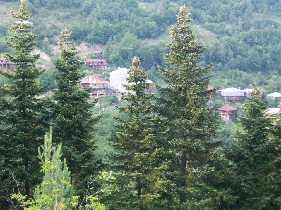 Kastamonu Örencik Köyü Resimleri 1