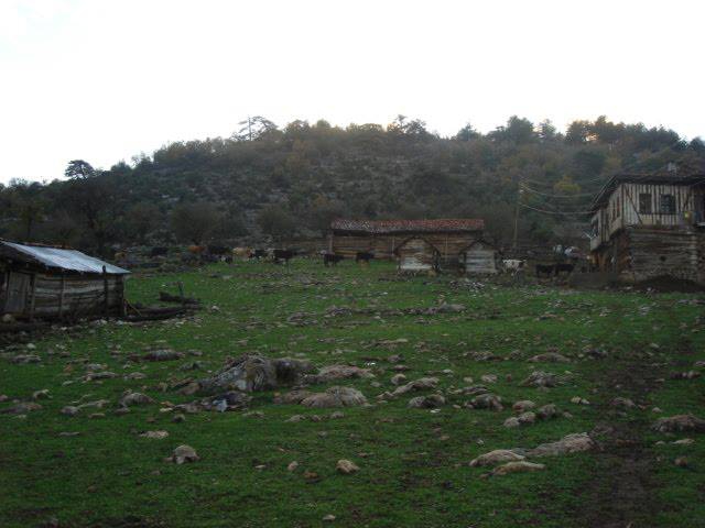 Kastamonu Örenyeri Köyü Resimleri 2