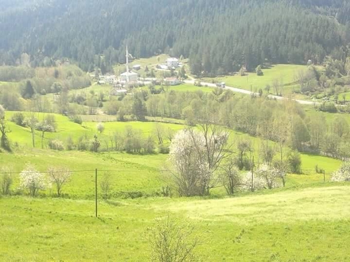 Kastamonu Sada Köyü Resimleri 2