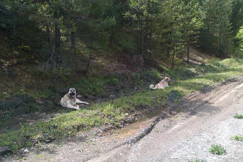 Kastamonu Sulusökü Köyü Resimleri 2