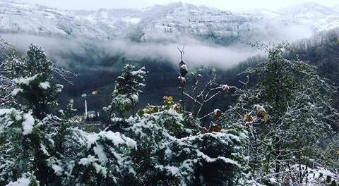 Vakfıkebir Köprücek Köyü Resimleri 1