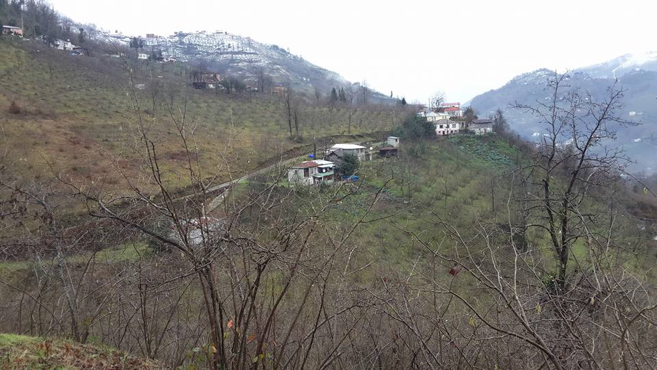 Vakfıkebir Köprücek Köyü Resimleri 11