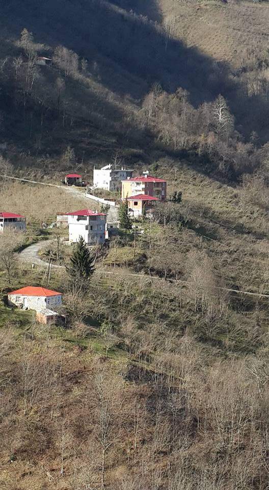 Vakfıkebir Köprücek Köyü Resimleri 14