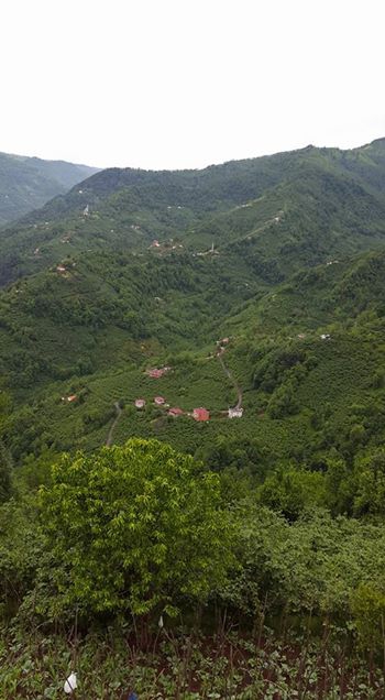 Vakfıkebir Köprücek Köyü Resimleri 3