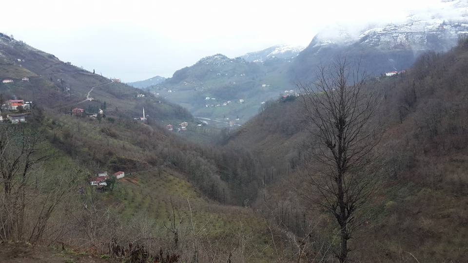 Vakfıkebir Köprücek Köyü Resimleri 7