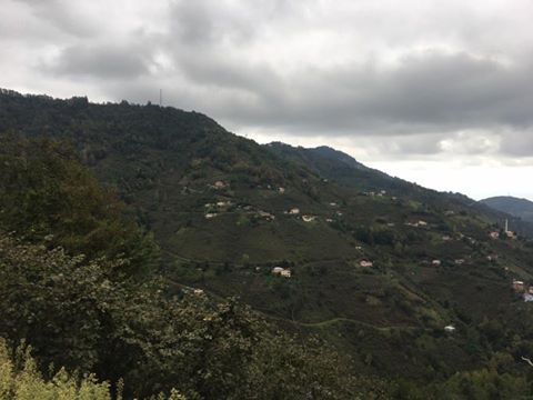 Vakfıkebir Köprücek Köyü Resimleri 8