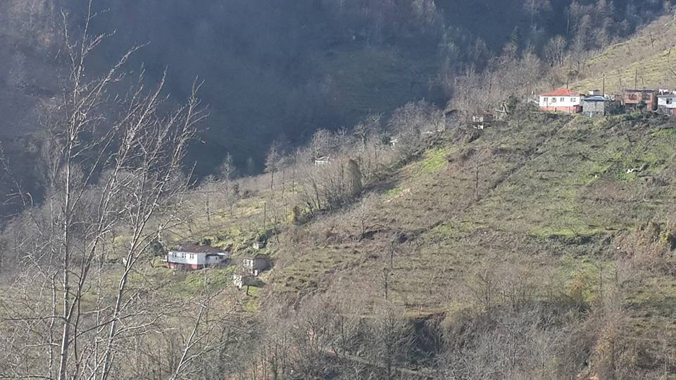 Vakfıkebir Köprücek Köyü Resimleri 9