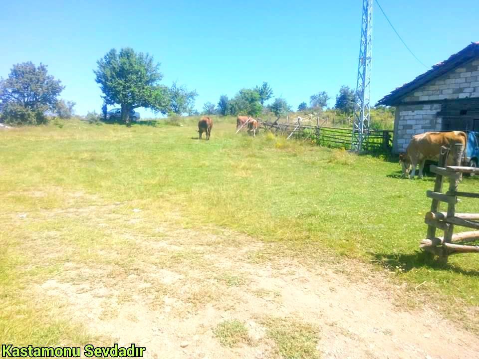 Kastamonu Tepeharman Köyü Resimleri 1
